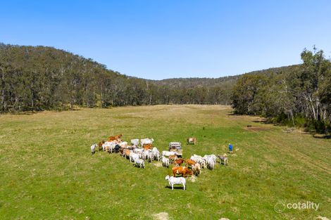 Lot 1987 North Branch Rd, Upper Pilton, QLD 4361