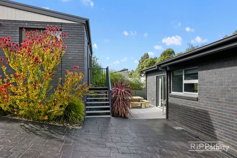 Property photo of 19 Olivia Court Kingston TAS 7050