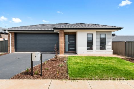 4 Coral St, Cobblebank, VIC 3338