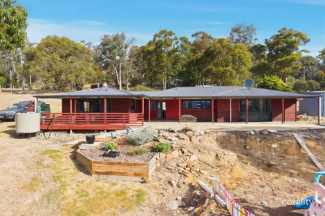 859 Collins Cap Rd, Molesworth, TAS 7140