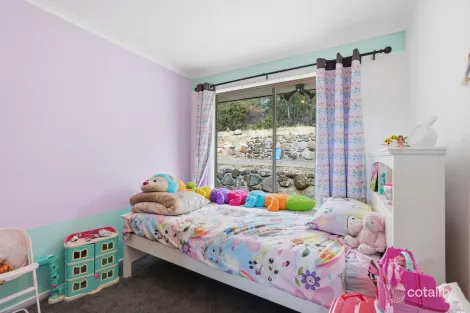 Property photo of 859 Collins Cap Road Molesworth TAS 7140