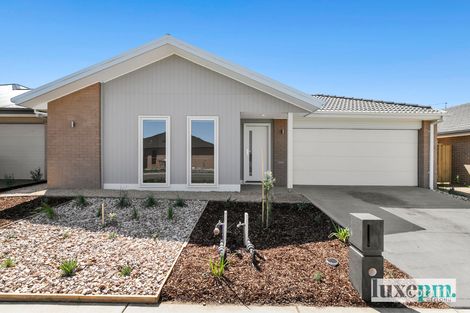 34 Cardamon St, Armstrong Creek, VIC 3217