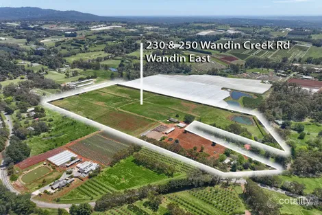 230 Wandin Creek Rd, Wandin East, VIC 3139