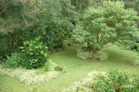 Property photo of 2481 Waterfall Way Thora NSW 2454