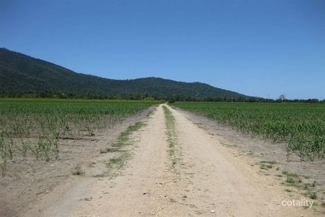 1566 Syndicate Rd, Jarra Creek, QLD 4854