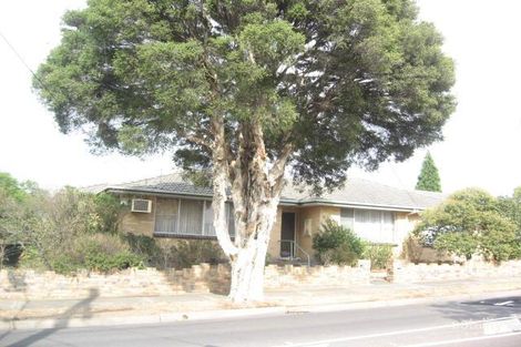 56 Oakwood Ave, Dandenong North, VIC 3175