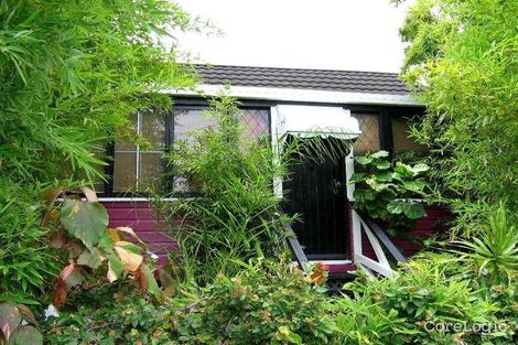 Property photo of 17 Hutton Street Clayfield QLD 4011