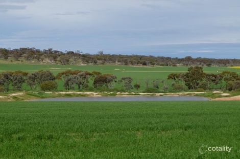 Property photo of 200 Slater Road Walyormouring WA 6460