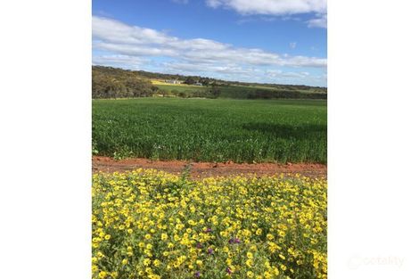 Property photo of 200 Slater Road Walyormouring WA 6460