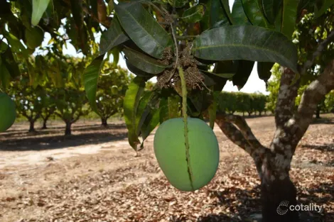Property photo of 80 Russ Road Tumbling Waters NT 0822