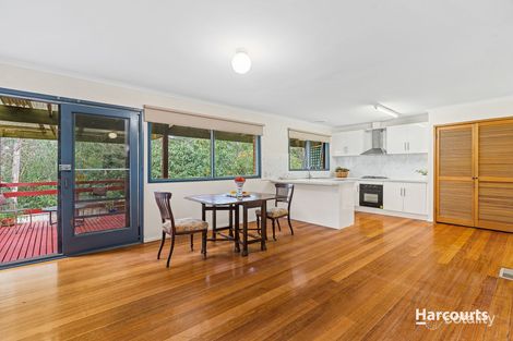 Property photo of 37 Sonia Street Ringwood VIC 3134