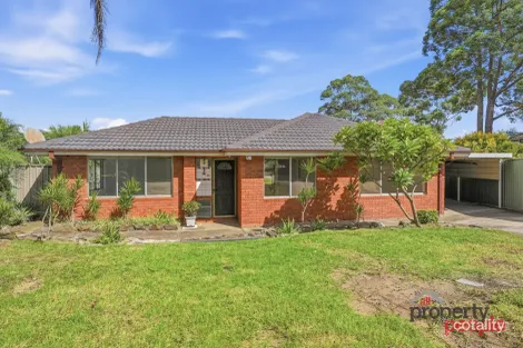 4 Sherack Pl, Minto, NSW 2566