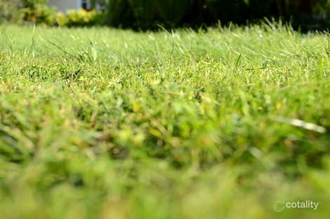 Lot 3516 Rosedale Cct, Carnes Hill, NSW 2171