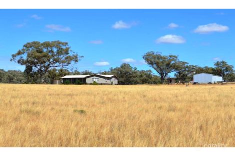 1172 Wandobah Rd, Gunnedah, NSW 2380