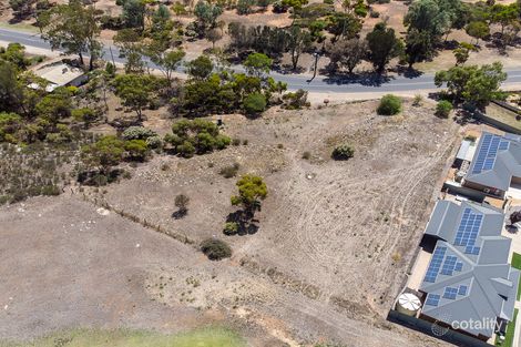 Property photo of 19 Jaensch Road Murray Bridge SA 5253