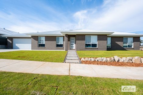 Property photo of 92 Potoroo Avenue Thurgoona NSW 2640