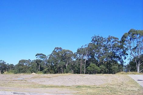 Property photo of 31 Blue Range Drive Algester QLD 4115