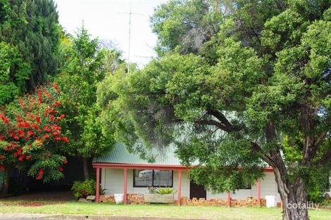 53 Whiteley St, Wellington, NSW 2820