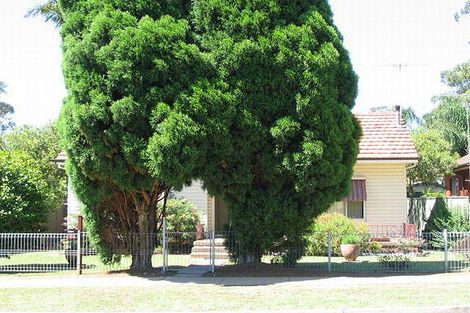 12 Chester St, Blacktown, NSW 2148