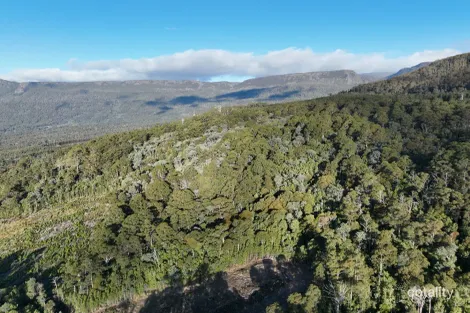 Lot 1 Western Creek Rd, Western Creek, TAS 7304