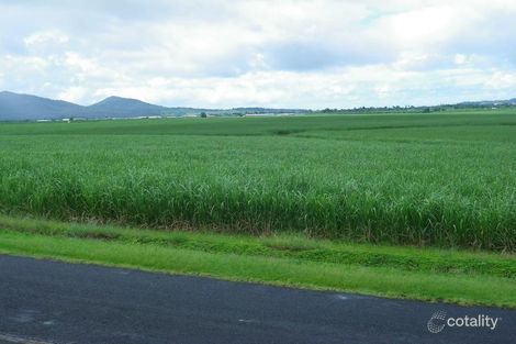 Property photo of 41 Lyons Road Belvedere QLD 4860