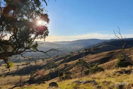 Property photo of 210 Burns Road Ullamalla NSW 2850