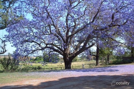 Property photo of 189 Lupton Road Beaudesert QLD 4285
