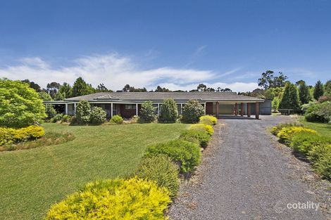 Property photo of 6 Queen Adelaide Court Wallan VIC 3756