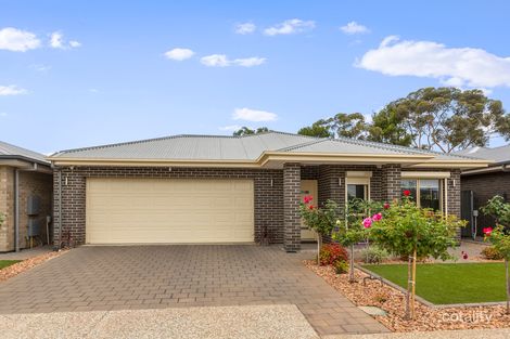 29 Owen Pl, Morphett Vale, SA 5162
