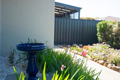 Property photo of 65 Bryan Hudson Street Macgregor ACT 2615
