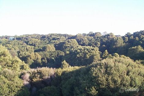 1111 Pegarah Rd, Naracoopa, TAS 7256