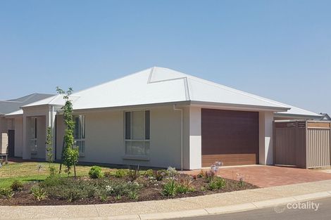 16 Fairbrother Cct, Nuriootpa, SA 5355