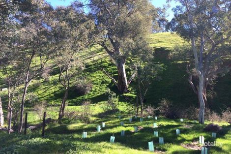 Property photo of 469 Survey Road Melrose SA 5483