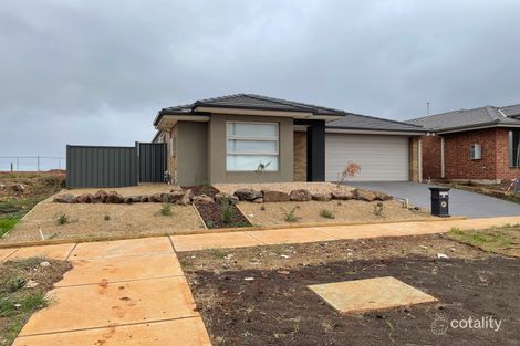 35 Adelong Bvd, Cobblebank, VIC 3338