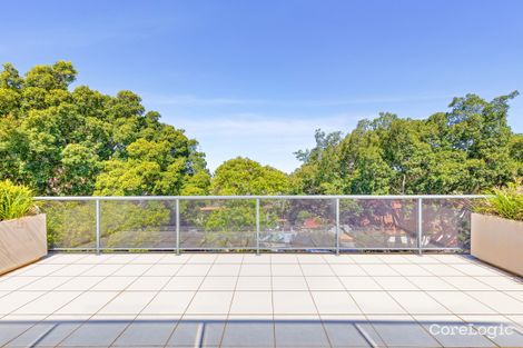 Property photo of 3/5 Banksia Road Bellevue Hill NSW 2023