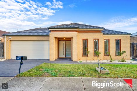 Property photo of 7 Swordgrass Avenue Tarneit VIC 3029