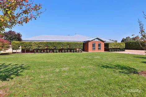 4 Clifton Hill Ct, Birdwoodton, VIC 3505