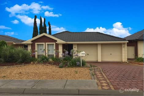 38 Gleeson Gr, Evanston Park, SA 5116