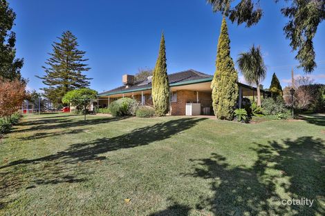 Property photo of 143 Azolia Street Red Cliffs VIC 3496