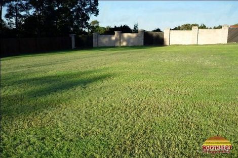 Property photo of 15 Young Place Runcorn QLD 4113
