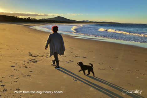 Property photo of 6 Bemago Street Nambucca Heads NSW 2448