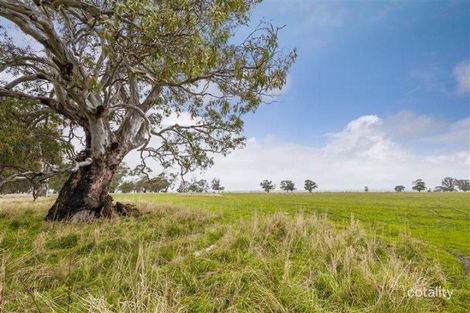 2376 Kyneton-Redesdale Rd, Redesdale, VIC 3444