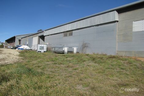 Property photo of 173 Malpas Street Guyra NSW 2365