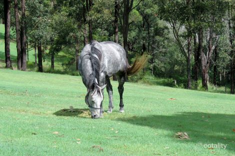 Property photo of 207 Barnes Road Mundoolun QLD 4285