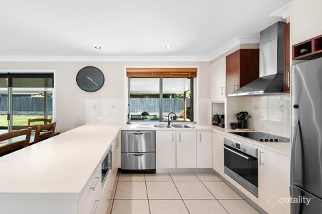 Property photo of 24 Hawbridge Street Carseldine QLD 4034