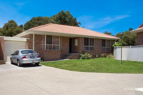 3/7 Trethowan St, Mount Pleasant, VIC 3350