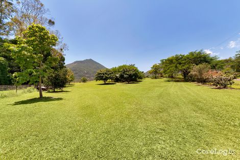 Property photo of 161 Gillies Range Road Gordonvale QLD 4865