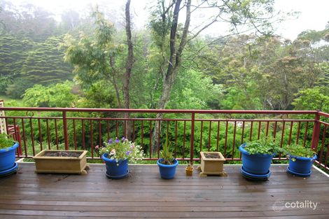 2/6a Vale St, Katoomba, NSW 2780