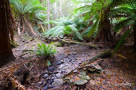 Property photo of 107 Bassetts Road Calder TAS 7325