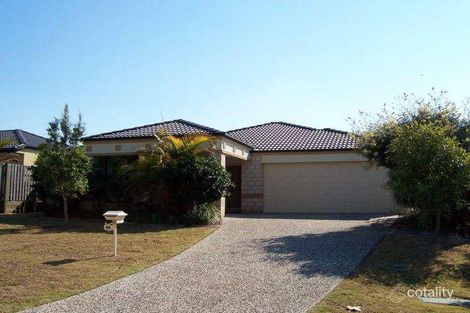 Property photo of 44 Ellis Drive Mudgeeraba QLD 4213